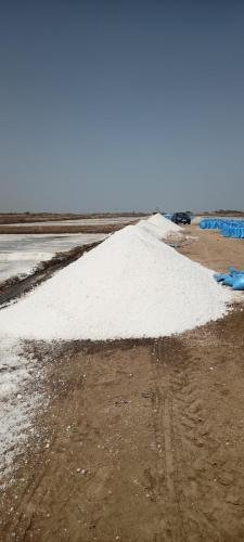 IMG20240603143702 (1)