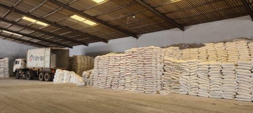 IMG20250317121936 (1)