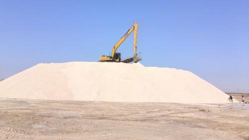 IMG_20250319_100440 (1)