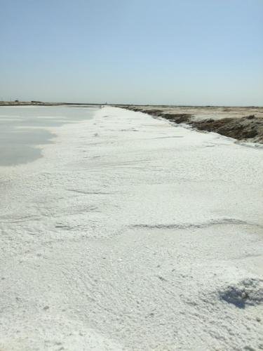 IMG_20250319_101052 (1)