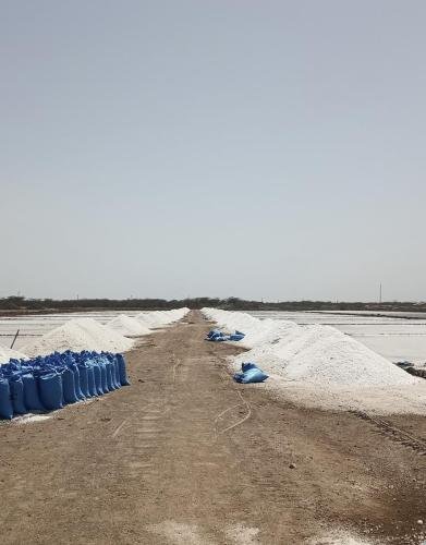 IMG_20251117_125844 (1)