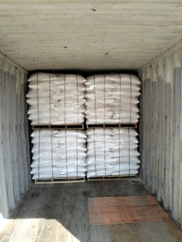 WhatsApp Image 2025-11-17 at 1.16.23 PM